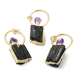 Golden Natural Black Tourmaline and Amethyst Pendants, Perfume Bottle Charms with Rack Plating Brass Findings, Cadmium Free & Lead Free, Golden, 44~60x25x11.5~17mm, Hole: 3.5mm