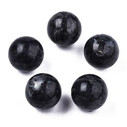 Obsidian Natural Obsidian Display Decorations, Round, 19~21mm