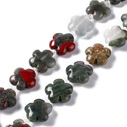 Bloodstone Natural African Bloodstone Beads Strands, 5-Petal Flower, 15x5.5mm, Hole: 1.2mm, about 27pcs/strand, 17.13''(43.5cm)