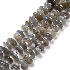 Labradorite Natural Labradorite Beads Strands, Chip, 5~18x3~9x2~5mm, Hole: 1mm, about 67~69pcs/strand, 15.55''(39.5~40cm)
