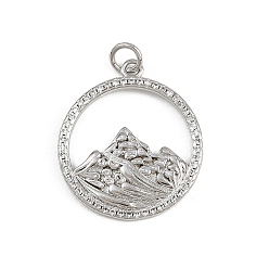 Платина Латунные микро проложить кубического циркония подвески, гора, с целью перехода в кольце, стойки покрытие, долговечный, без свинца и без кадмия, платина, 22.5x20x2 мм, отверстие : 3.5 мм