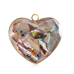 Paua Shell Paua Shell Pendants, with Stainless Steel Findings, Heart Charms, 20mm