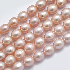 PeachPuff Natural Cultured Freshwater Pearl Beads Strands, Oval, PeachPuff, 6.5~7x5.5~6mm, Hole: 0.8mm, about 44pcs/strand, 14.17 inch(36cm)