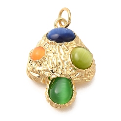 Гриб Латунные подвески, с кошачий глаз, реальный 14 k позолоченный, гриб, 21.5x16x5.5 мм, отверстие : 3 мм