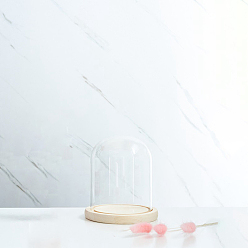 Прозрачный Стеклянный купол, декоративная витрина, колокол баночка террариум с деревянной основой, для подарка своими руками сохраненного цветка, прозрачные, 150x120x150 мм