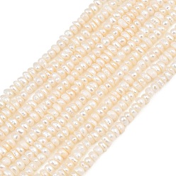 Floral White Natural Cultured Freshwater Pearl Beads Strands, Rondelle, Grade 3A++, Floral White, 2~2.5mm, Hole: 0.2mm, about 120pcs/strand, 14.57''(37cm)