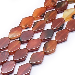Brown Natural Carnelian Beads Strands, Dyed & Heated, Rhombus, Brown, 22~25x16~17x5.5~10.5mm, Hole: 2~3mm, about 16pcs/strand, 14.1 inch~14.5 inch(36~37cm)