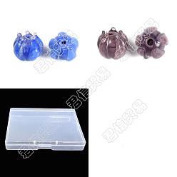 Mixed Color 24Pcs 2 Colors Glass Beads, Flower, Mixed Color, 9.5x9mm, Hole: 1.2mm, 12pcs/color