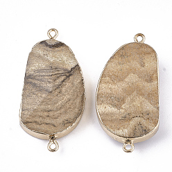 Picture Jasper Electroplate Natural Picture Jasper Links Connectors, with Golden Iron Findings, Nuggets, 42~46x23.5x7~9mm, Hole: 1.8mm