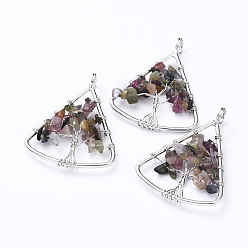 Tourmaline Long-Lasting Plated Brass Pendants, Wire Wrapped Pendants, with Natural Tourmaline Chips, Triangle with Tree, Platinum, 39~40x30~31x4~8mm, Hole: 4.5mm