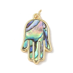 Раковина Подвески на руку из натуральной пауа-ракушки хамса из латуни, с прыжковых колец, реальный 18 k позолоченный, без свинца и без кадмия, долговечный, стойки покрытие, 25x15x2 мм, отверстие : 3.5 мм