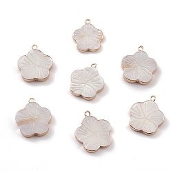 Seashell Color Natural Freshwater Shell Pendants, Flower Charms, with Light Gold Plated Brass Findings, Seashell Color, 21~22.5x18~20x2.5~4mm, Hole: 1.6~1.8mm