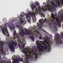 Amethyst Rough Raw Natural Amethyst Beads Strands, Nuggets, 13~33x6~12x5~10mm, Hole: 1mm, 15.3 inch(38.9cm)
