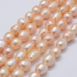PeachPuff Natural Cultured Freshwater Pearl Beads Strands, Two Sides Polished, PeachPuff, 9~13x9~10x6.5~10mm, Hole: 0.2mm, about 33pcs/strand, 14.1 inch