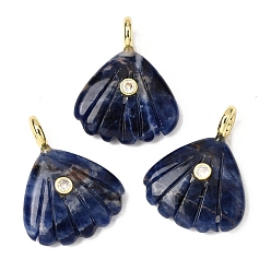 Содалитовое Резные подвески из натурального содалита, Подвески в форме ракушки с латунными микрофибровыми вставками., золотые, стойки покрытие, 28~29x22.5x7.5~8 мм, отверстие : 3.5 мм