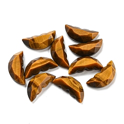 Tiger Eye Natural Tiger Eye Butterfly Wing Cabochons, Faceted, 15x6.5~7x4~4.5mm
