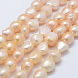 PeachPuff Natural Cultured Freshwater Pearl Beads Strands, Potato, PeachPuff, 11~12x11~12x8~9mm, Hole: 0.2mm, about 30pcs/strand, 14.1 inch
