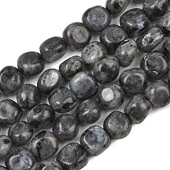 Larvikite Натуральные нити бус из ларвикита, самородки, 9~11x8~10x6~10 мм, отверстие : 0.8 мм, около 18~19 шт / нитка, 6.89~7.28'' (17.5~18.5 см)