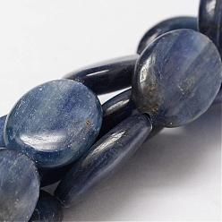 Kyanite Oval Natural Kyanite/Cyanite/Disthene Bead Strands, 14x10x4mm, Hole: 1mm, about 29pcs/strand, 15.7 inch
