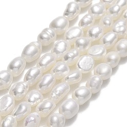 Linen Natural Cultured Freshwater Pearl Beads Strands, Two Sides Polished, Linen, 5.5~7x4.5~5x4mm, Hole: 0.6mm, about 57~58pcs/strand, 13.98''(35.5~36cm)