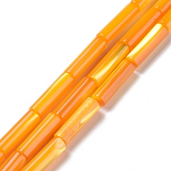 Оранжевый Природные trochid стеклянные бусы нити, окрашенные, колонка, оранжевые, 11.5~14x4 мм, отверстие : 0.6 мм, около 28~29 шт / нитка, 15.55~15.67 дюйм (39.5~39.8 см)