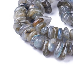 Labradorite Natural Labradorite Beads Strands, Chips, 4~12x3~8x1~6mm, Hole: 1mm, about 14.9 inch~16.1 inch(38~41cm)