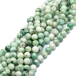 Chrysocolla Natural Chrysocolla Beads Strands, Round, 8.5mm, Hole: 1mm, about 48pcs/strand, 15.55''(39.5cm)