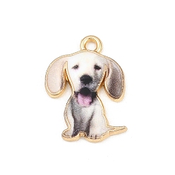 Белый Подвески из сплава , стойки покрытие, собака прелести, напечатанный, без кадмия, без никеля и без свинца, золотые, белые, 20.5x16x1.5 мм, отверстие : 1.8 мм