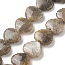 Sunstone Natural Sunstone Beads Strands, Heart, 24~26x28~28.5x9~12mm, Hole: 1.5mm, about 15pcs/strand, 15.04~15.55 inch(38.2~39.5cm)