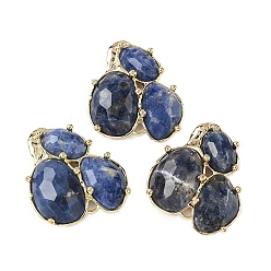 Содалитовое Соединители звеньев из природного содалита, с латунной фурнитурой , граненые, золотые, 30.5~31x33x5 мм, отверстие : 1.8 мм