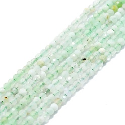 Chrysoprase Natural Chrysoprase Beads Strands, Faceted, Round, 2mm, Hole: 0.5mm, about 215pcs/strand, 15.16''~15.55''(38.5~39.5cm)