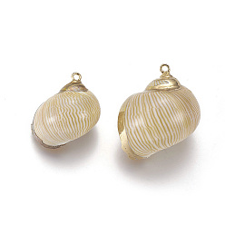 Spiral Shell Electroplate Spiral Shell Pendants, with Brass Findings, Conch, Golden, 21~33x15~27mm, Hole: 2mm