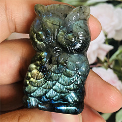Owl Dyed Natural Labradorite Carved Display Decorations, Figurine Home Decoration, Reiki Energy Stone for Healing, Owl, 40~60mm