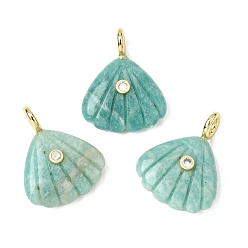 Amazonite Natural Amazonite Carved Pendants, Shell Shape Charms with Brass Micro Pave Cubic Zirconia Findings, Golden, Rack Plating, 28~29x22.5x7.5~8mm, Hole: 3.5mm