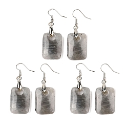 Лабрадорита Натуральный лабрадорита болтаться серьги, с латунными крючками для сережек, без свинца и без кадмия, прямоугольные, 49x18 мм