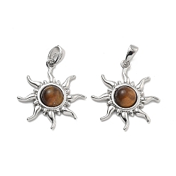 Тигровый глаз Природных тигровый глаз подвески, латунные солнечные подвески, платина, 22x19x4 мм, отверстие : 3x4 мм