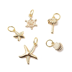 Golden Brass Pendants, with 304 Stainless Steel Jump Rings, Shell & Starfish & Coconut Tree & Helm, Golden, 10~18.5x6.5~15.5x1~3mm, Hole: 4.6mm