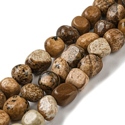 Picture Jasper Natural Picture Jasper Bead Strands, Tumbled Stone, Nuggets, 3~7.5x4.5~6x3~6mm, Hole: 1mm, about 61~66pcs/strand, 15.16''~15.35''(38.5~39cm)