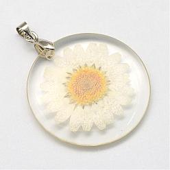 Floral White Alloy Resin Pendants, Flat Round, with Dried Flower inside, Platinum, Floral White, 32~32.5x4~4.5mm, Hole: 4x4mm