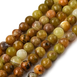 Зеленый Опал Естественный зеленый опал бисер нитей, круглые, 6 мм, отверстие : 0.6 мм, около 62~64 шт / нитка, 14.96''~15.35'' (38~39 см)