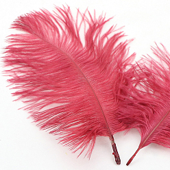Бледно-фиолетовый Красный Аксессуары для украшений из страусиных перьев, для костюма своими руками, аксессуары для волос, фоновое ремесло, бледно-фиолетовый красный, 150~200 мм