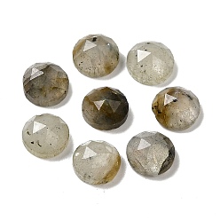 Лабрадорита Природные кабошон лабрадора, граненые, полукруглый, 6x2.8 мм