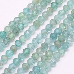 Apatite Natural Apatite Beads Strands, Faceted, Round, 3mm, Hole: 0.5mm, about 132pcs/strand, 15.5 inch(39.5cm)