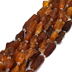 Amber Natural Amber Beads Strands, Nuggets, 10~18x9~13x5~8mm, Hole: 0.8mm, about 24pcs/strand, 15.35''(39cm)