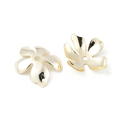 Настоящее золото 14K Шапочки и конусы для бусин, латунные, 5-лепестков цветка, реальный 14 k позолоченный, 20.5x19.5x4.5 мм, отверстие : 2 мм