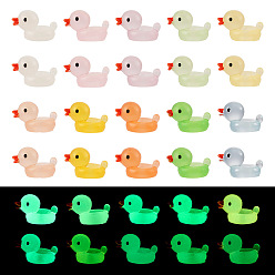 (52) Непрозрачная лаванда Светящиеся смолы европейские бусы, светится в темноте, большое отверстие шарик, утка, разноцветные, 23.5x15.5x15.5 мм, отверстие : 4 мм