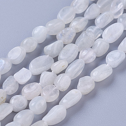 White Moonstone Natural White Moonstone Beads Strands, Tumbled Stone, Nuggets, 5~11x4~6mm, Hole: 1mm, about 56~58pcs/strand, 15.4 inch(39cm)