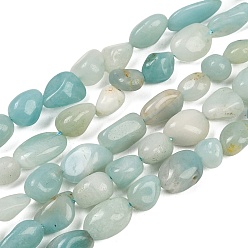 Амазонит Природные амазонит бисер пряди самородки, 8~10x6~8x3~6 мм, отверстие : 1 мм, около 45 шт / нитка, 14.96'' (38 см)