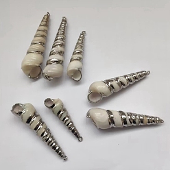 Platinum Electroplate Spiral Shell Pendants, with Brass Findings, Platinum, 38~76x11~19mm, Hole: 1.6mm