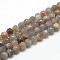 Pierre De Soleil Brins de perles de sunstone noirs naturels, ronde, 10mm, Trou: 1mm, Environ 40 pcs/chapelet, 15.7 pouce